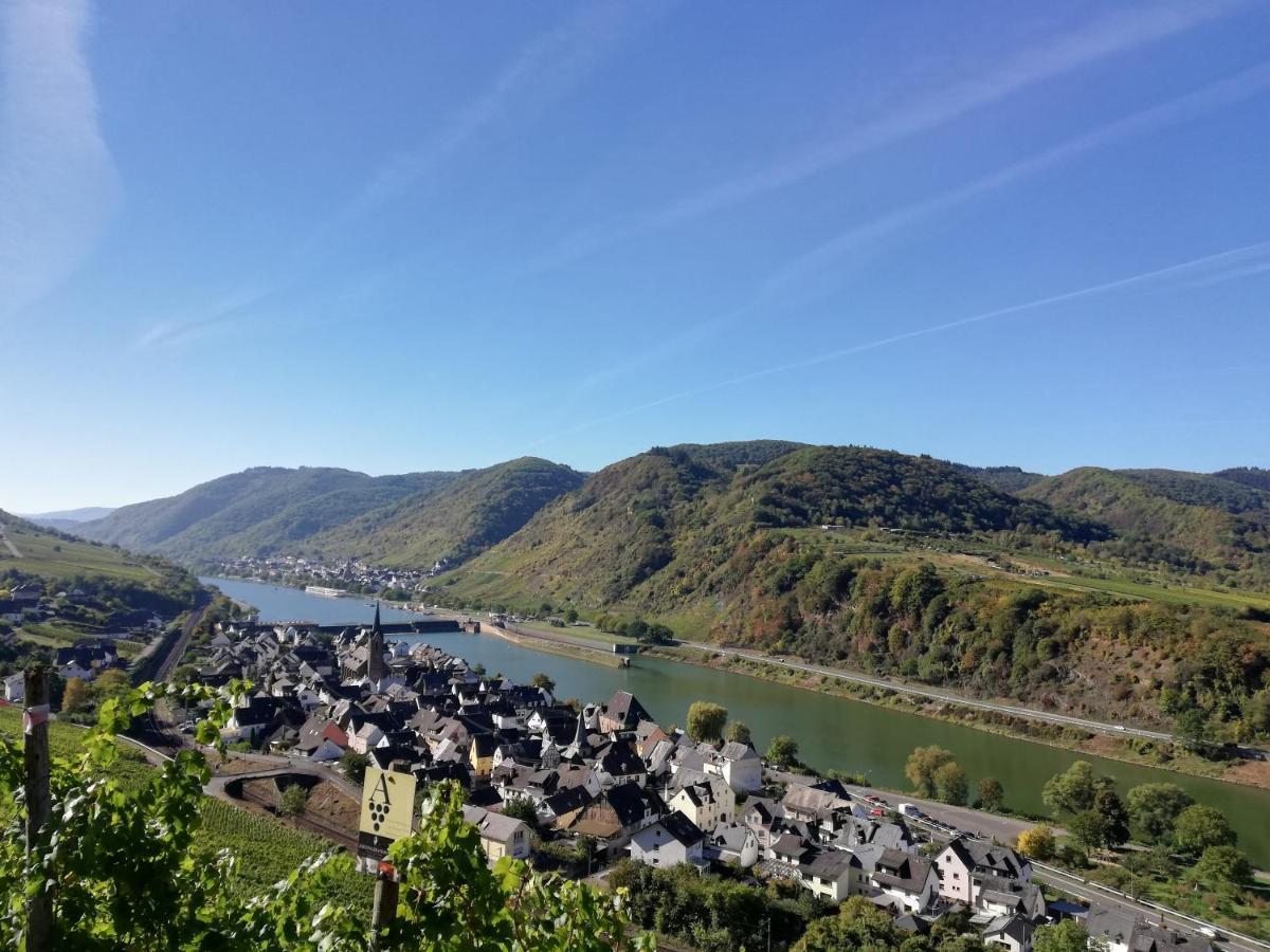 Апартаменты Weingut Amlinger&Sohn Neef Экстерьер фото